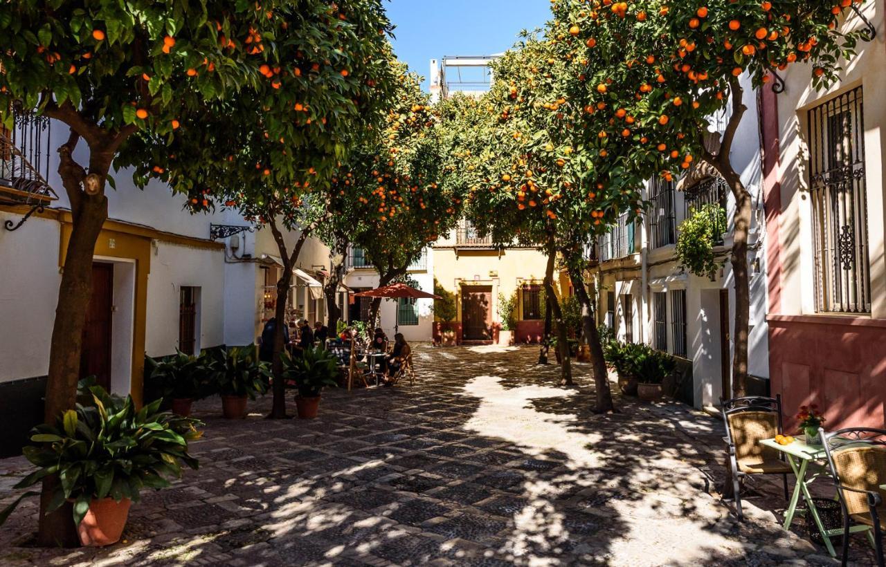 Wish Suite La Mata De Sevilla 外观 照片